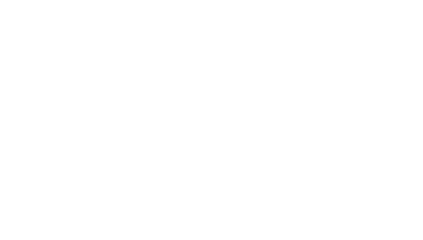 4L Strategies Logo
