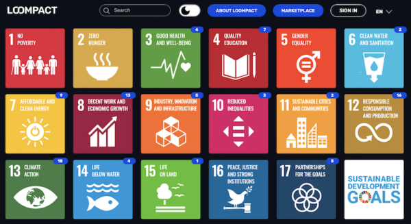 LOOMPACT Reporting Portal LOOMPACT Reporting Protal